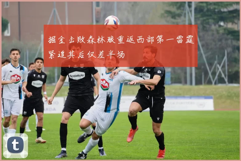 掘金击败森林狼重返西部第一雷霆紧追其后仅差半场