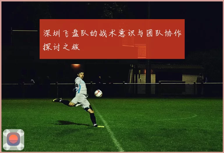 深圳飞盘队的战术意识与团队协作探讨之旅
