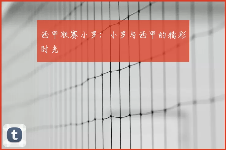 西甲联赛小罗：小罗与西甲的精彩时光