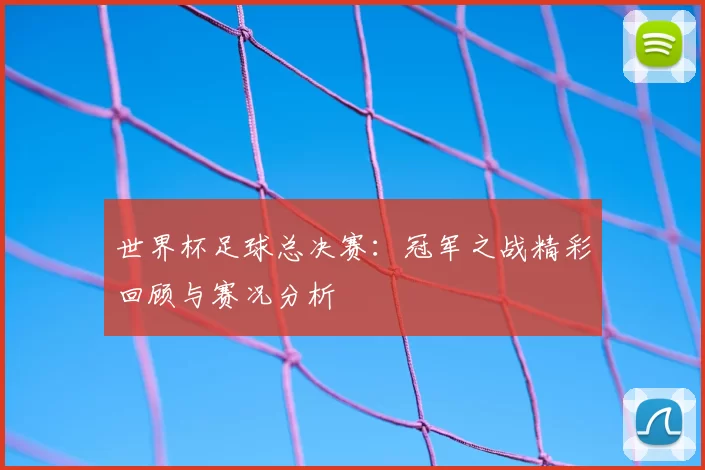 世界杯足球总决赛:冠军之战精彩回顾与赛况分析