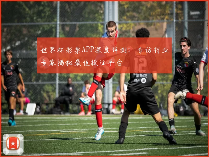 世界杯彩票APP深度评测：专访行业专家揭秘最佳投注平台