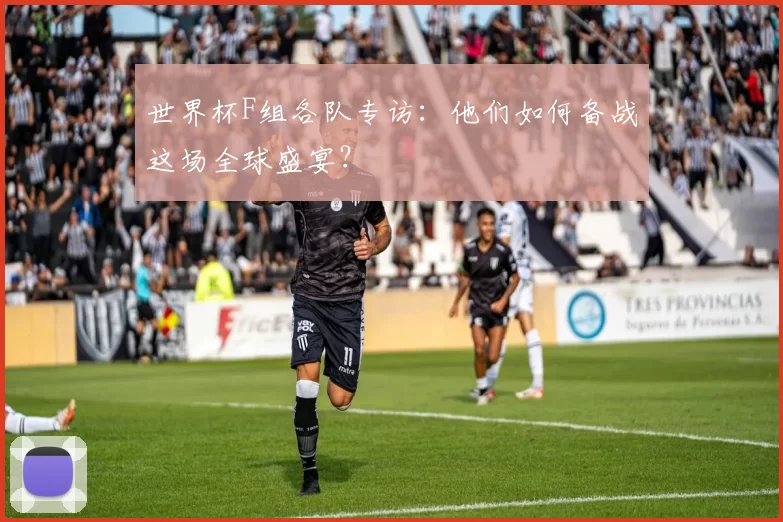 世界杯F组各队专访:他们如何备战这场全球盛宴?