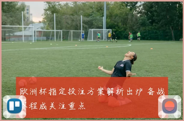 欧洲杯指定投注方案解析出炉 备战赛程成关注重点