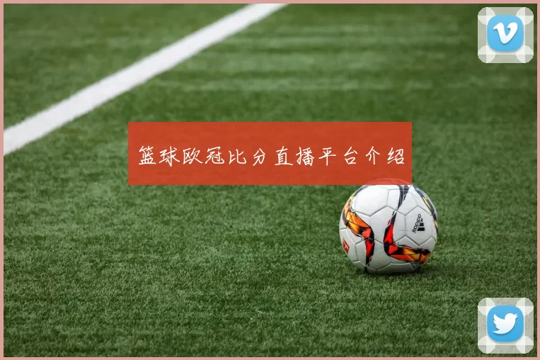 篮球欧冠比分直播平台介绍