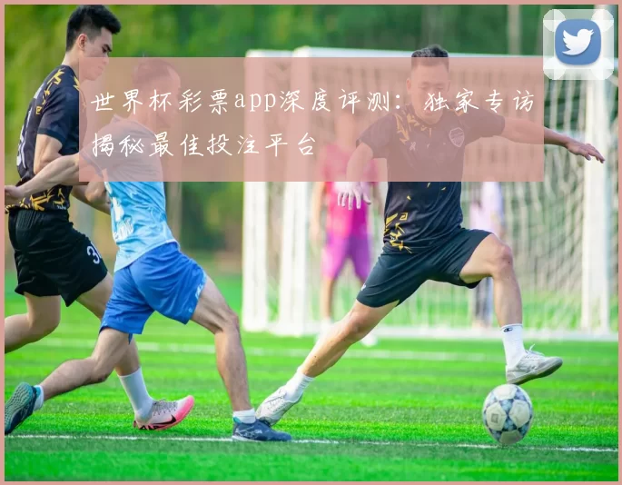 世界杯彩票app深度评测：独家专访揭秘最佳投注平台