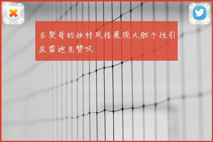 东契奇的独特风格展现大胆个性引发雷迪克赞叹