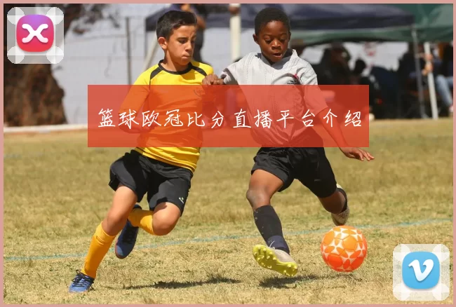篮球欧冠比分直播平台介绍