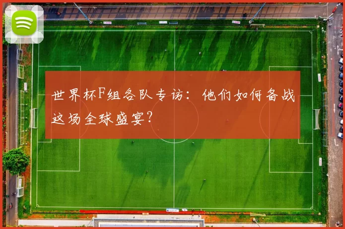 世界杯F组各队专访：他们如何备战这场全球盛宴？