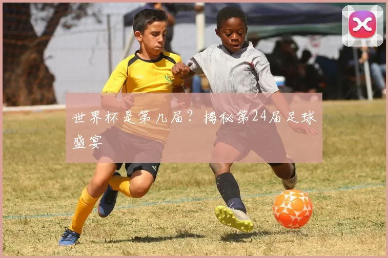 世界杯是第几届?揭秘第24届足球盛宴