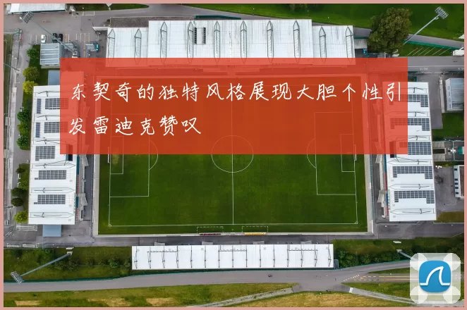 东契奇的独特风格展现大胆个性引发雷迪克赞叹