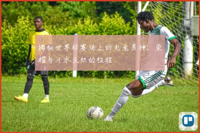 揭秘世界杯赛场上的电竞男神:荣耀与汗水交织的征程